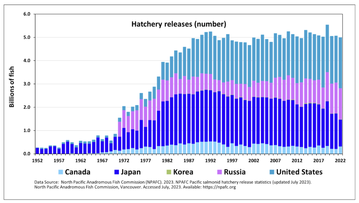 Graph showing an increase in hatchery fish production. 